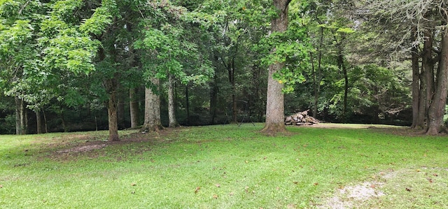 211 10th St, Tracy City, TN 37387 - photo 21