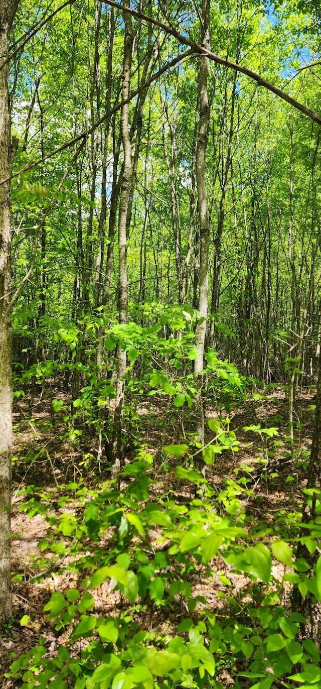 0 Tootley Campbell Rd, Monteagle, TN 37356