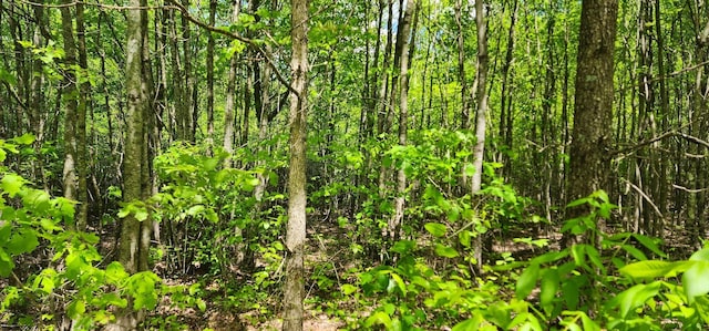 0 Tootley Campbell Rd, Monteagle, TN 37356