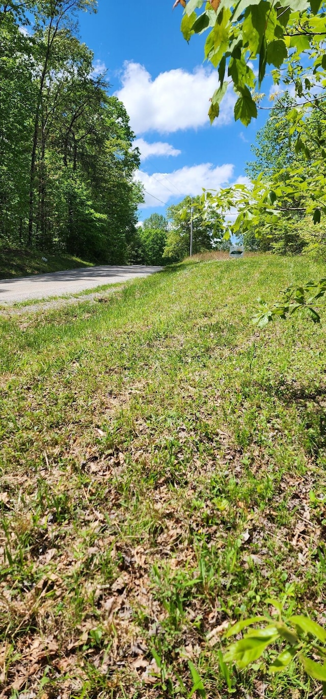 0 Tootley Campbell Rd, Monteagle, TN 37356