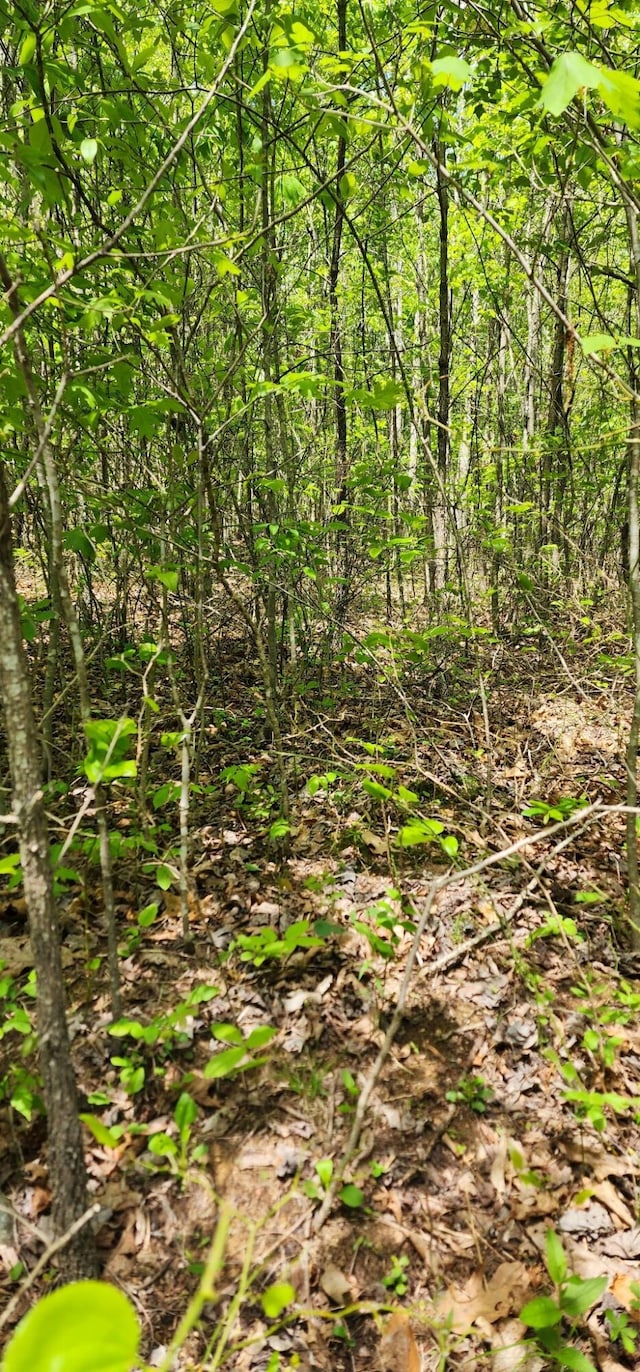 0 Tootley Campbell Rd, Monteagle, TN 37356