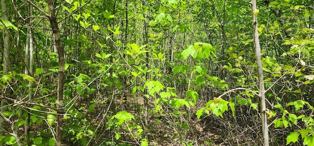 0 Tootley Campbell Rd, Monteagle, TN 37356