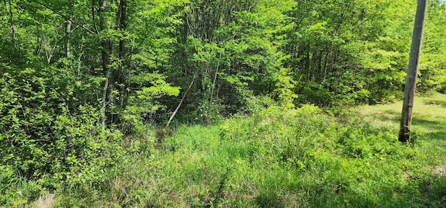 0 Tootley Campbell Rd, Monteagle, TN 37356