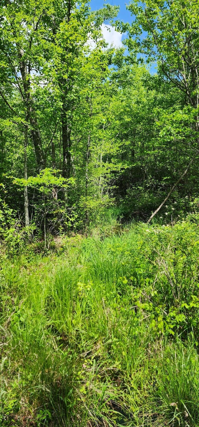 0 Tootley Campbell Rd, Monteagle, TN 37356