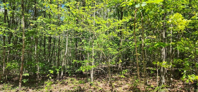 0 Tootley Campbell Rd, Monteagle, TN 37356