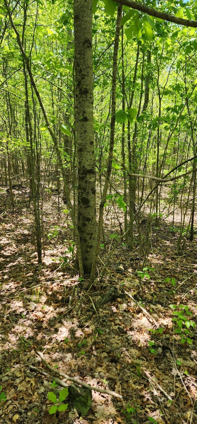 0 Tootley Campbell Rd, Monteagle, TN 37356