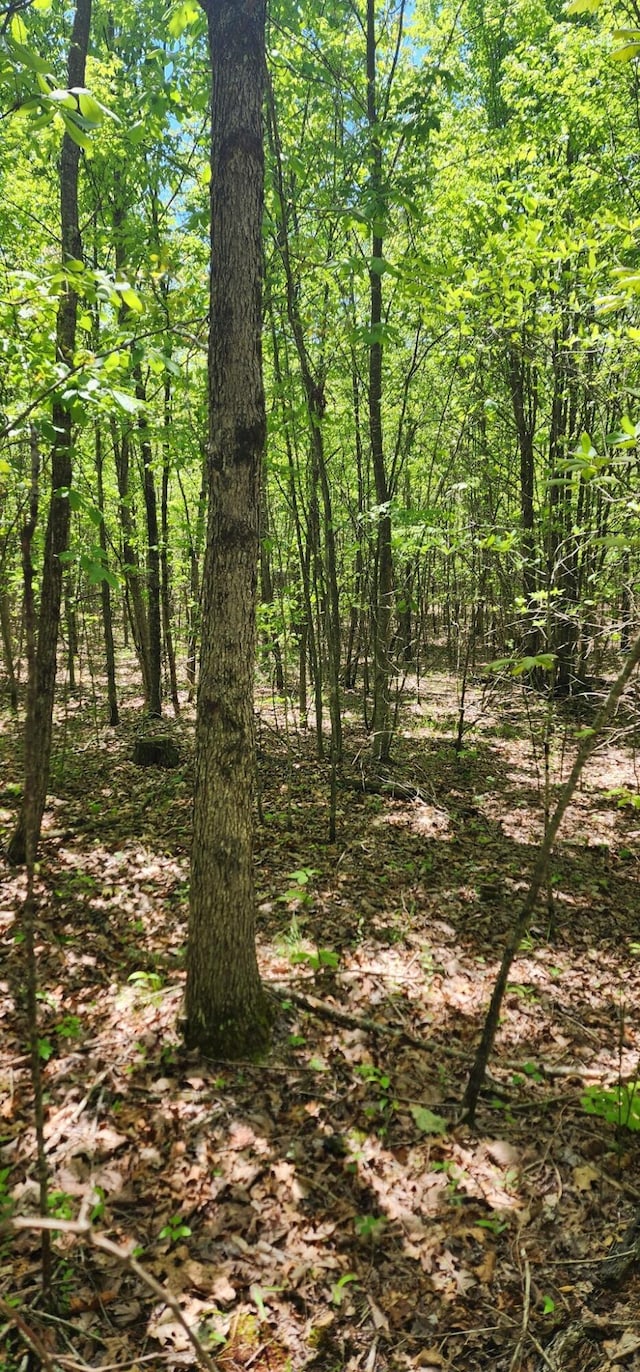 0 Tootley Campbell Rd, Monteagle, TN 37356