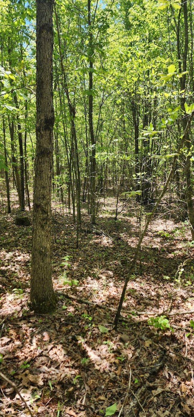 0 Tootley Campbell Rd, Monteagle, TN 37356