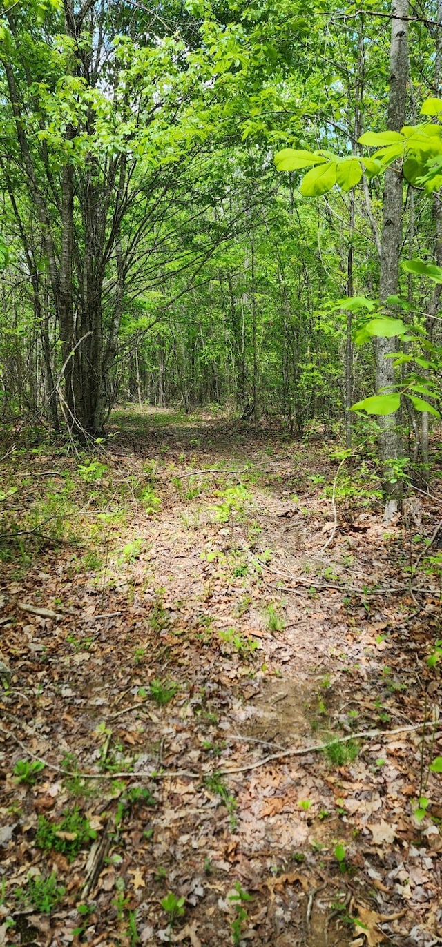 0 Tootley Campbell Rd, Monteagle, TN 37356