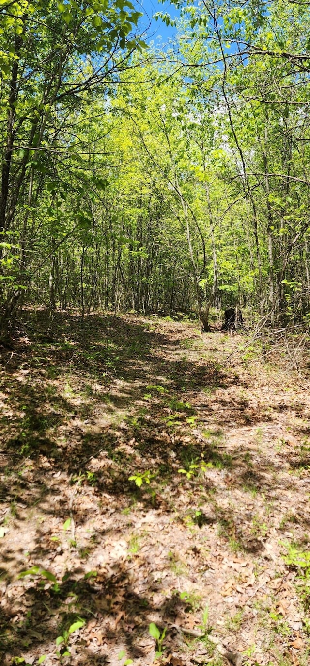 0 Tootley Campbell Rd, Monteagle, TN 37356