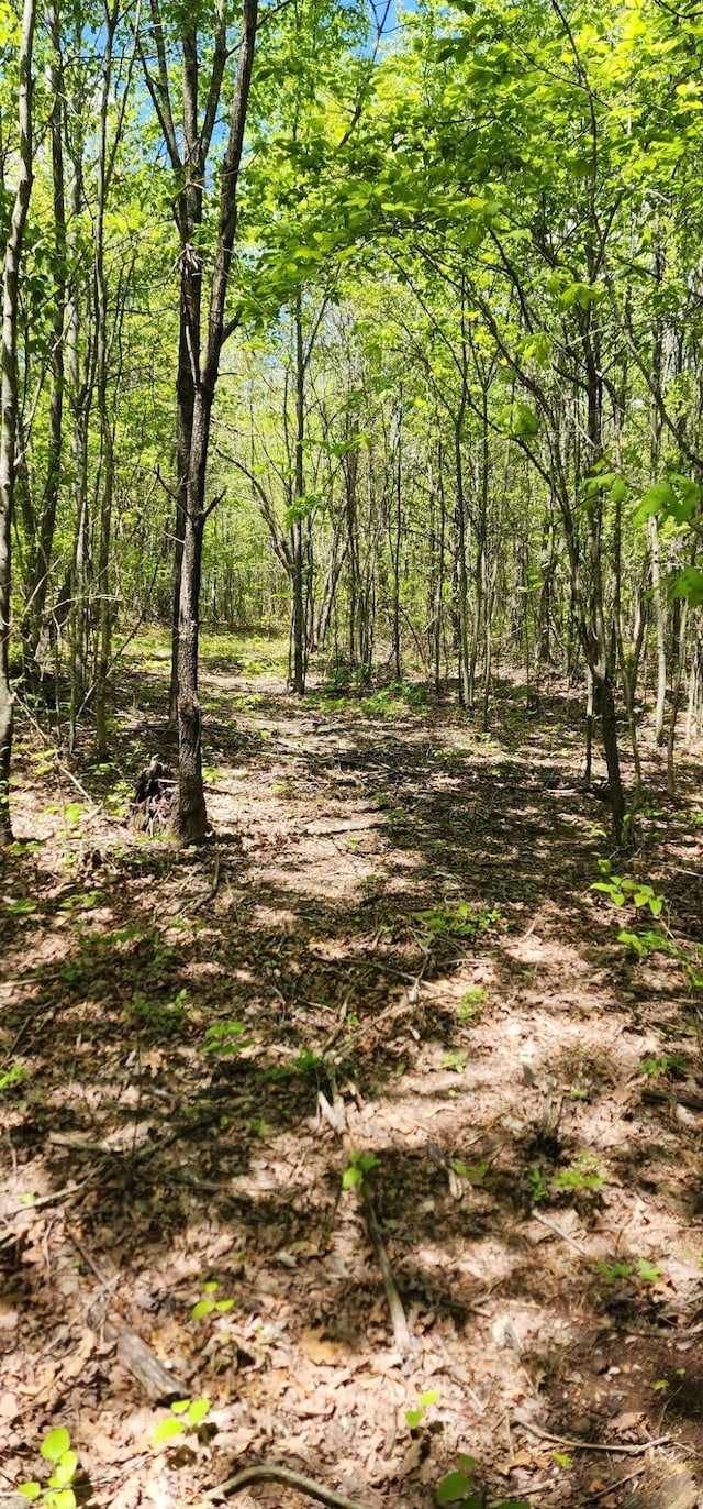 0 Tootley Campbell Rd, Monteagle, TN 37356