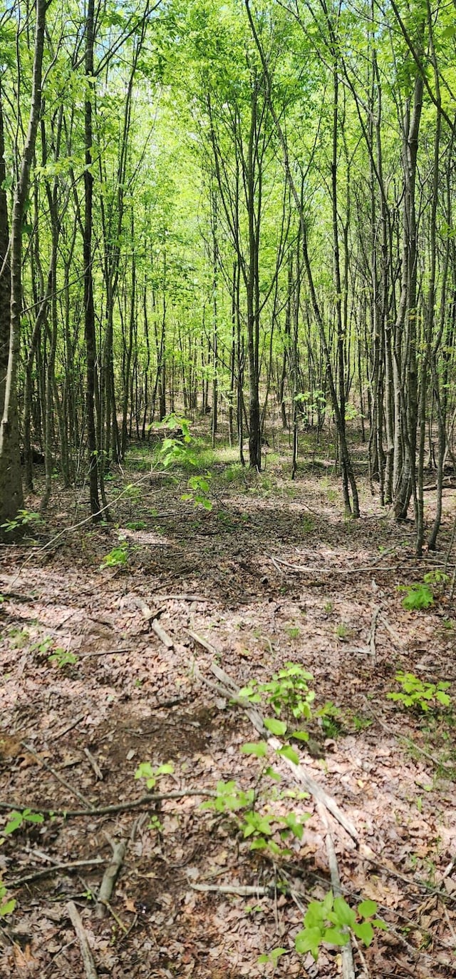 0 Tootley Campbell Rd, Monteagle, TN 37356
