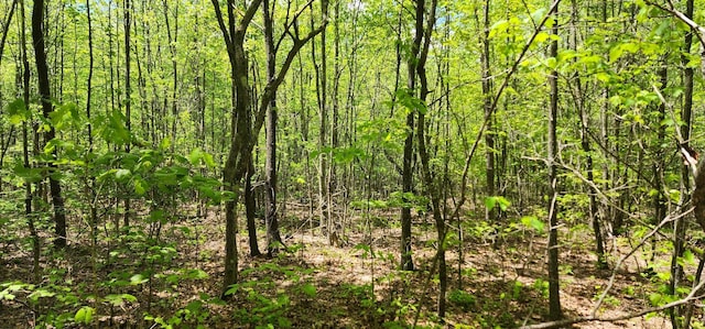 0 Tootley Campbell Rd, Monteagle, TN 37356