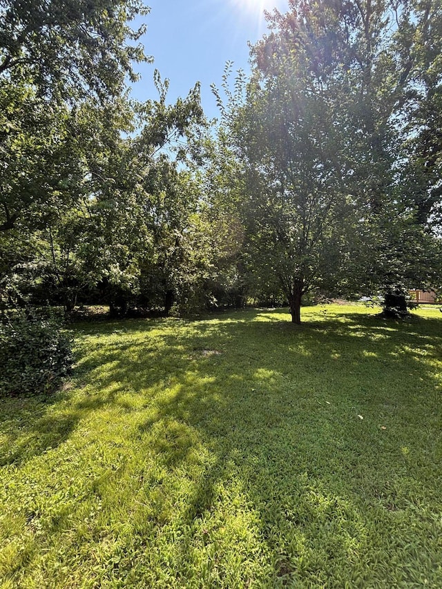 4005 Highland Ave, Chattanooga, TN 37410 - view of green lawn