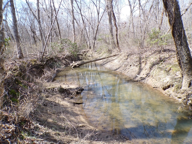 776 Pine Rd, Pikeville, TN 37367 - photo 4