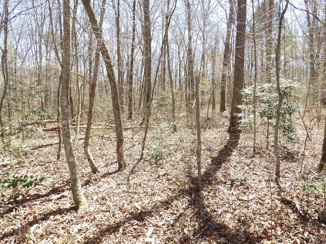 776 Pine Rd, Pikeville, TN 37367 - photo 7