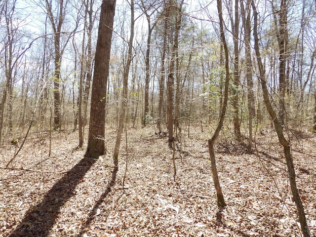 776 Pine Rd, Pikeville, TN 37367 - photo 9