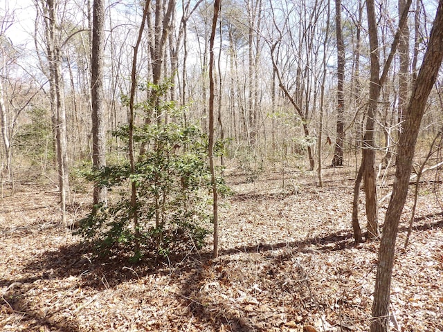 776 Pine Rd, Pikeville, TN 37367 - photo 10