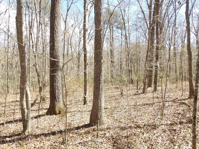 776 Pine Rd, Pikeville, TN 37367 - photo 11