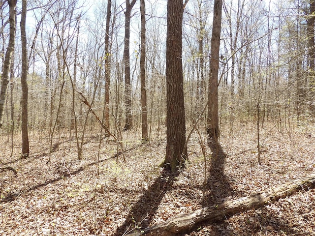 776 Pine Rd, Pikeville, TN 37367 - photo 12