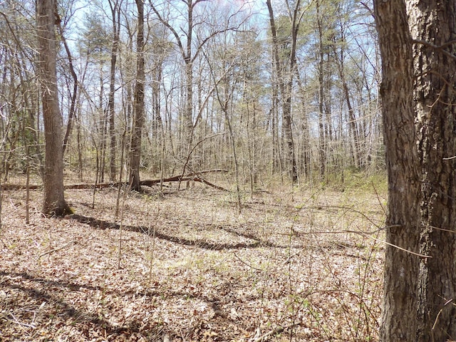 776 Pine Rd, Pikeville, TN 37367 - photo 14