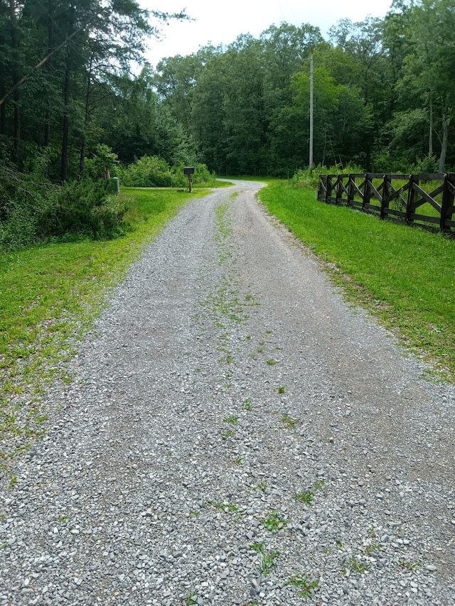 776 Pine Rd, Pikeville, TN 37367 - photo 16