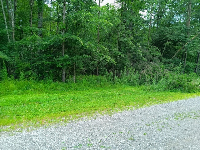 776 Pine Rd, Pikeville, TN 37367 - photo 17