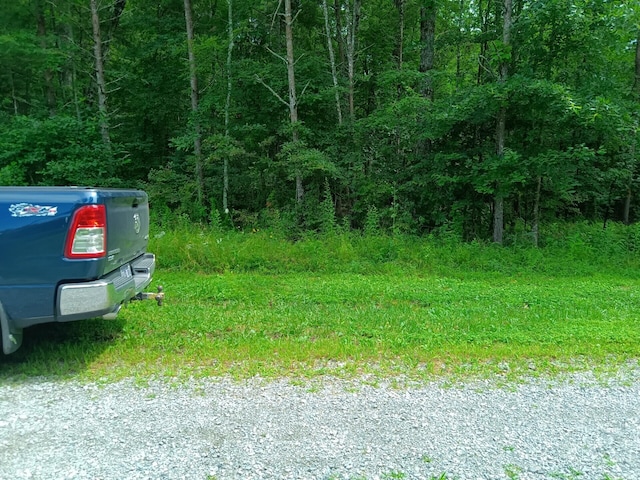 776 Pine Rd, Pikeville, TN 37367 - photo 18