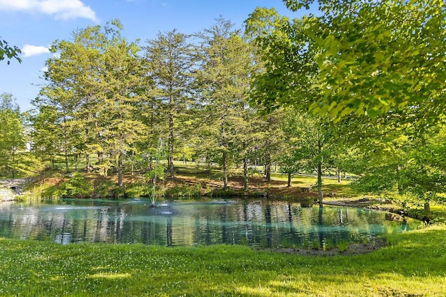 4405 Hawk Ridge Ct, Signal Mountain, TN 37377 - photo 124