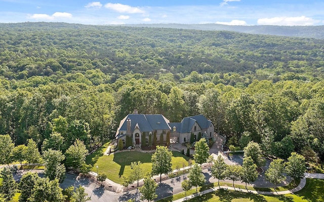 4405 Hawk Ridge Ct, Signal Mountain, TN 37377 - photo 120