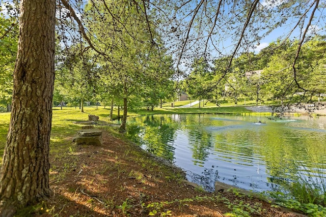 4405 Hawk Ridge Ct, Signal Mountain, TN 37377 - photo 123