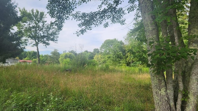 181 51st Ave, Gruetli Laager, TN 37339 - photo 2