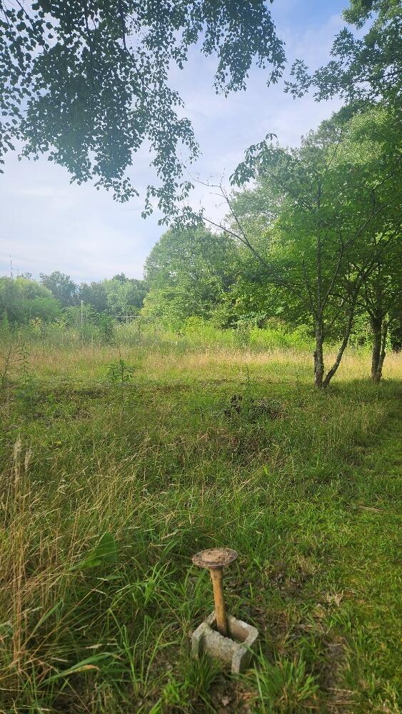 181 51st Ave, Gruetli Laager, TN 37339 - photo 3