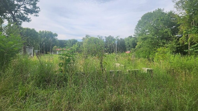 181 51st Ave, Gruetli Laager, TN 37339 - photo 4