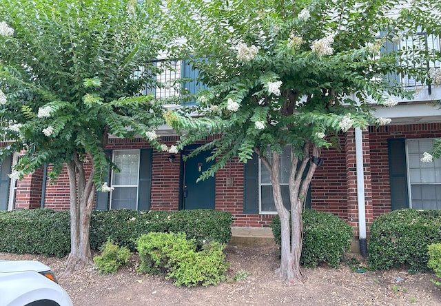 900 Mountain Creek Rd Unit C38, Chattanooga, TN 37405 - view of front of property with brick siding