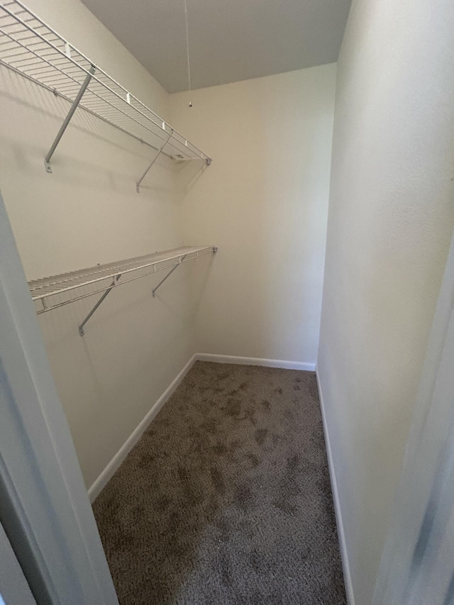 900 Mountain Creek Rd Unit C38, Chattanooga, TN 37405 - spacious closet with carpet floors
