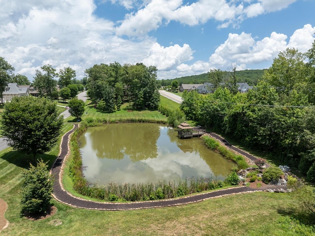 63 Brow Wood Ln Unit B-21, Lookout Mountain, GA 30750 - photo 5