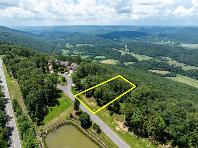 63 Brow Wood Ln Unit B-21, Lookout Mountain, GA 30750 - photo 1