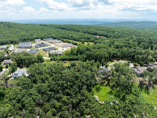 63 Brow Wood Ln Unit B-21, Lookout Mountain, GA 30750 - photo 13