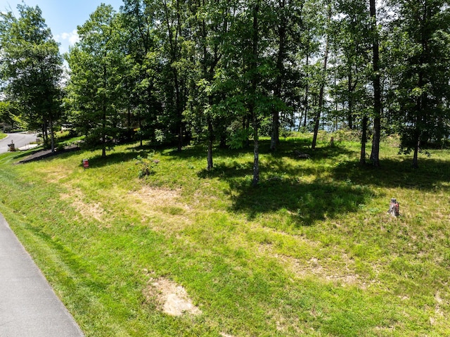 63 Brow Wood Ln Unit B-21, Lookout Mountain, GA 30750 - photo 15