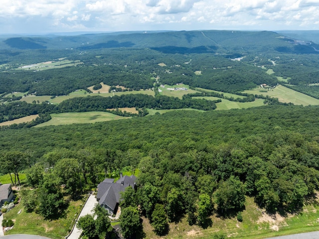 63 Brow Wood Ln Unit B-21, Lookout Mountain, GA 30750 - photo 16
