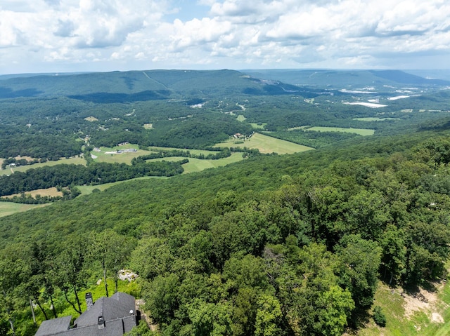 63 Brow Wood Ln Unit B-21, Lookout Mountain, GA 30750 - photo 17