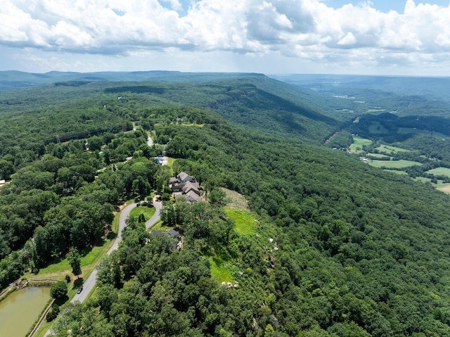 63 Brow Wood Ln Unit B-21, Lookout Mountain, GA 30750 - photo 18