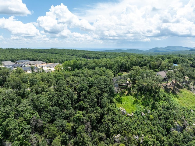 63 Brow Wood Ln Unit B-21, Lookout Mountain, GA 30750 - photo 19