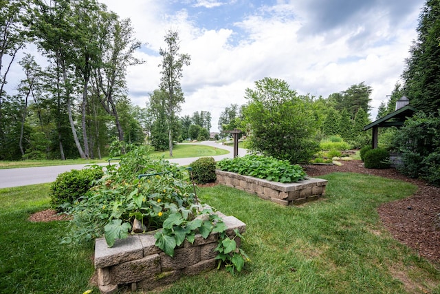 63 Brow Wood Ln Unit B-21, Lookout Mountain, GA 30750 - photo 12