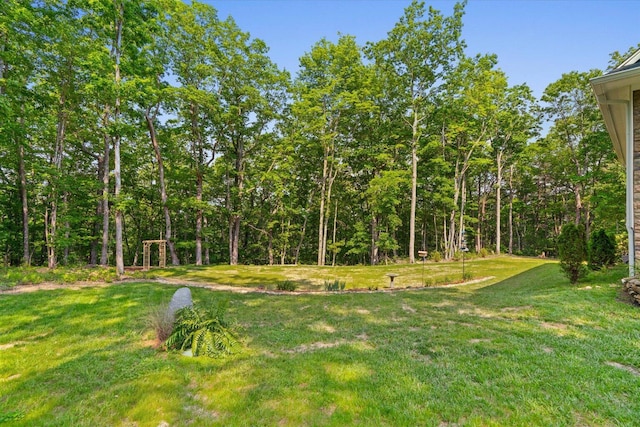 12 Shivas Crst, Rising Fawn, GA 30738 - photo 42