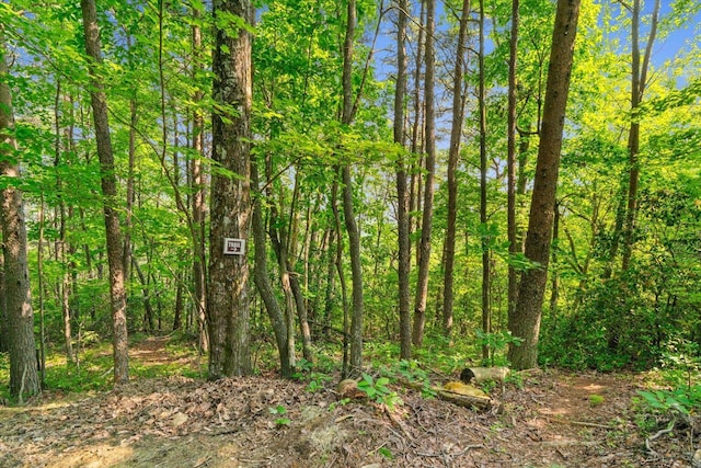 12 Shivas Crst, Rising Fawn, GA 30738 - photo 43