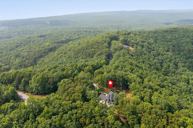12 Shivas Crst, Rising Fawn, GA 30738 - photo 44