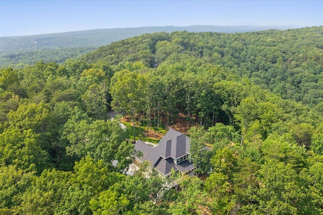 12 Shivas Crst, Rising Fawn, GA 30738 - photo 45