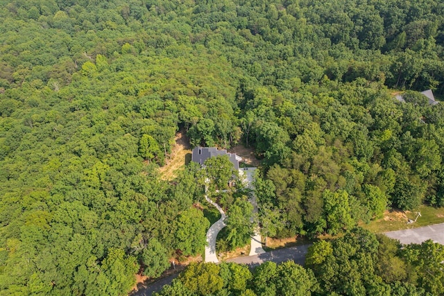 12 Shivas Crst, Rising Fawn, GA 30738 - photo 46